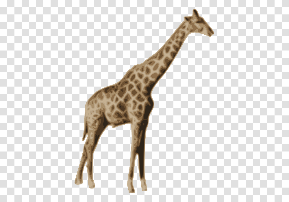 Mammal Clipart Zoo Animal Animals Giraffe, Wildlife Transparent Png