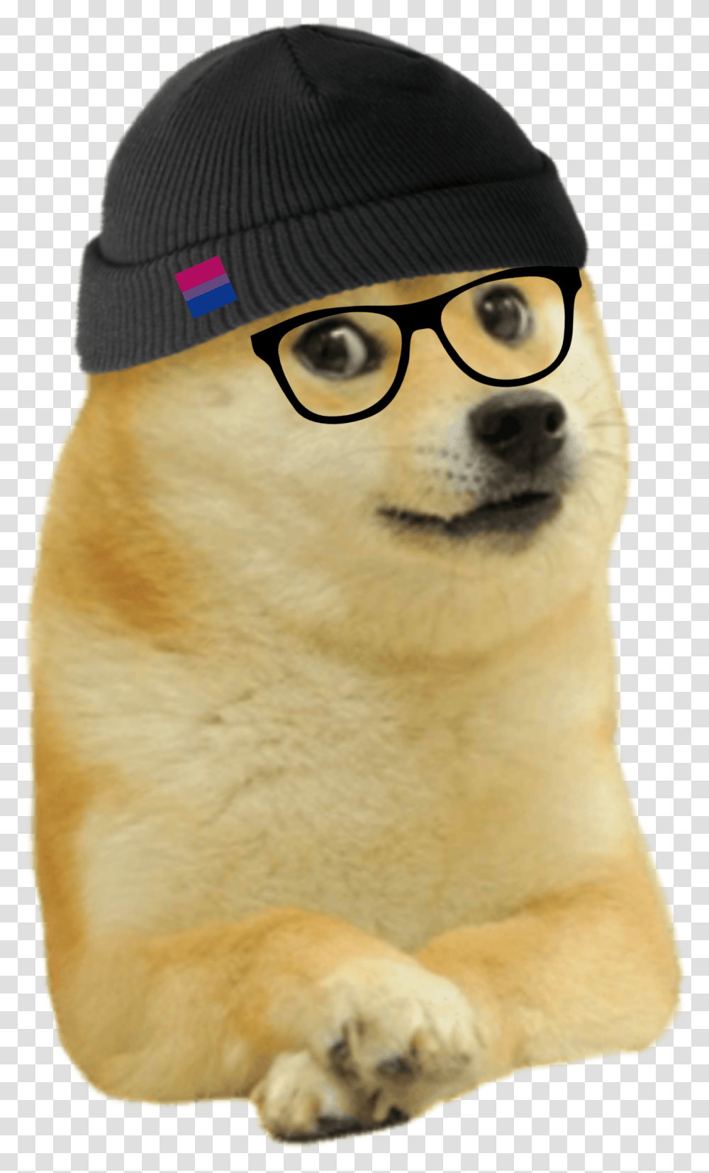 Mammal Dog Canidae Dog Breed Carnivore Doge Smirk Meme, Glasses, Accessories, Hat Transparent Png