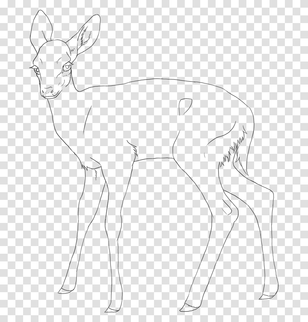 Mammal Drawing Fawn White Tailed Deer, Gray, World Of Warcraft Transparent Png