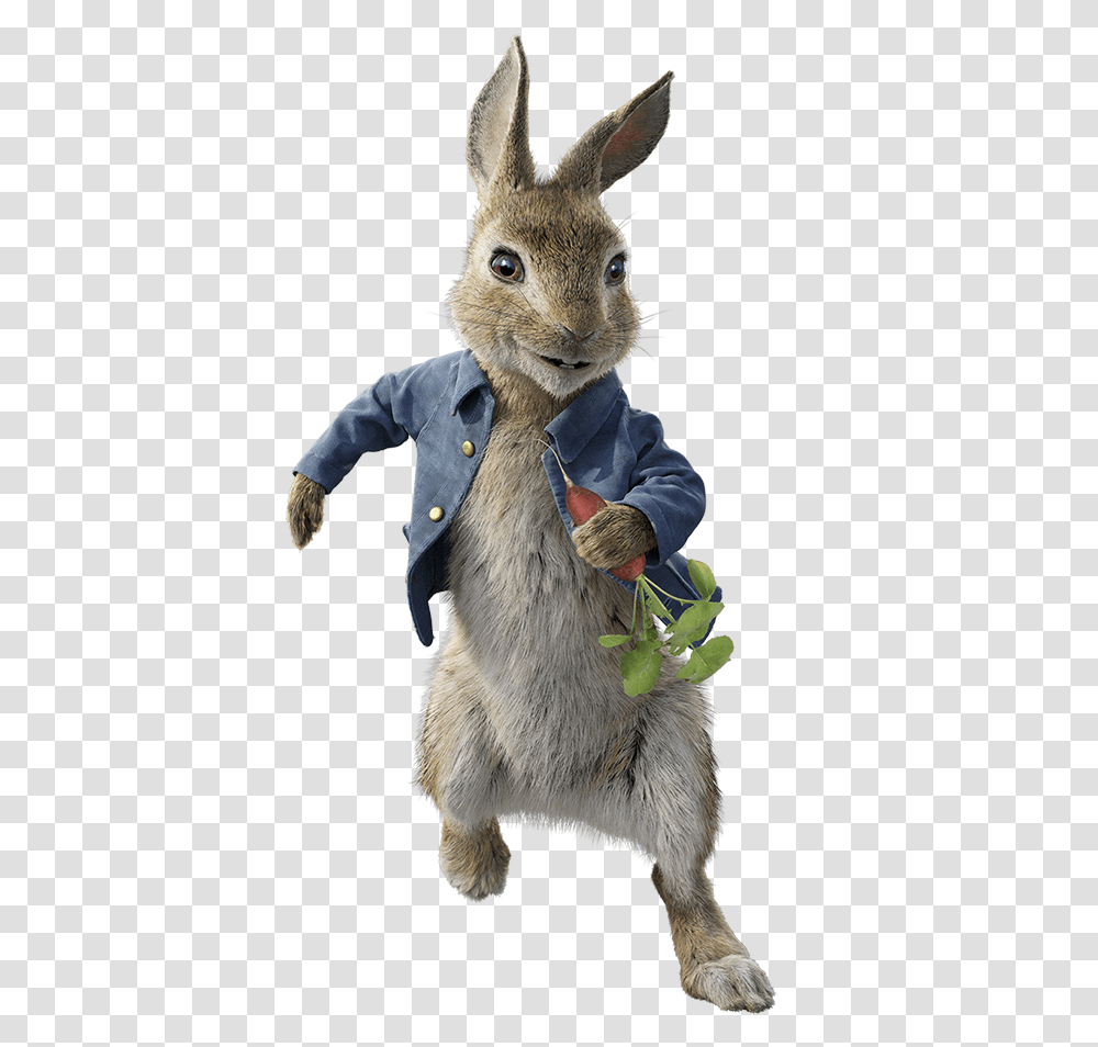 Mammalrabbitrabbits And Haresharedomestic Rabbitwood Peter Rabbit 2018 Characters, Apparel, Animal, Cat Transparent Png