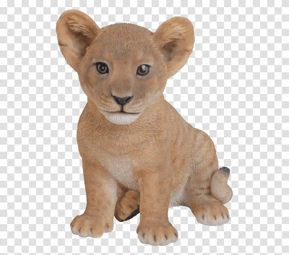 Mammalvertebrateanimal Lion With Cubs, Dog, Pet, Canine, Wildlife Transparent Png