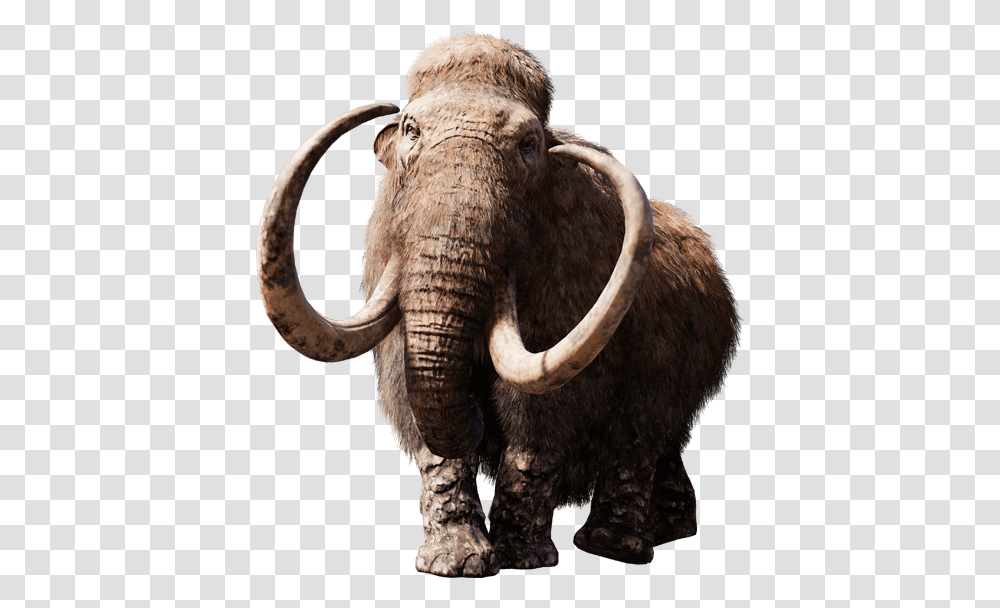 Mammoth, Elephant, Wildlife, Mammal, Animal Transparent Png