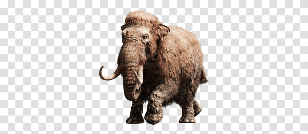 Mammoth Far Cry Primal, Animal, Mammal, Wildlife, Bear Transparent Png