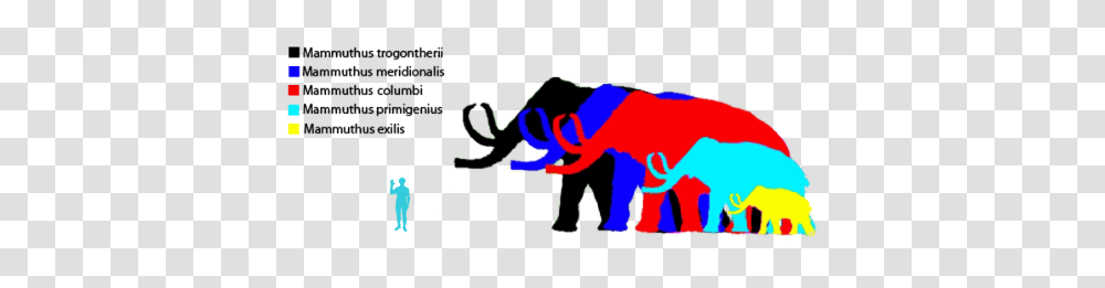 Mammoth Size Comparison, Light, Lighting Transparent Png