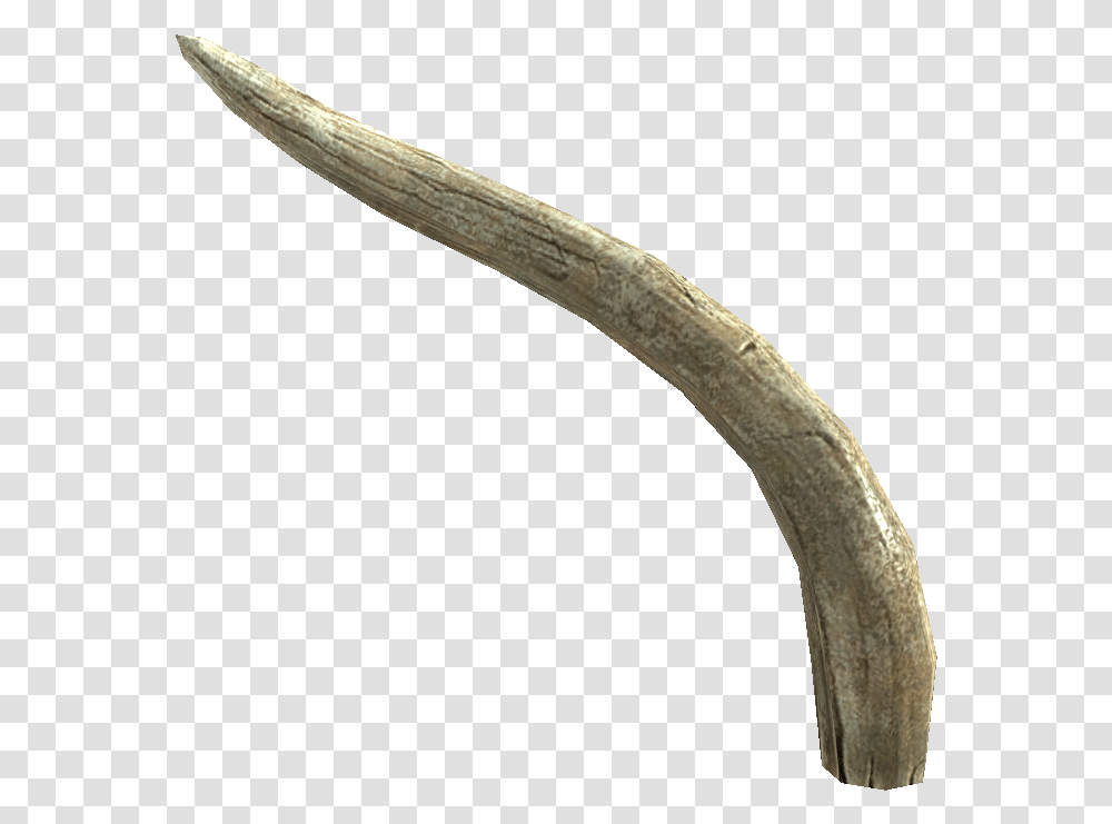 Mammoth Tusk Elder Tusks, Axe, Tool, Longhorn, Cattle Transparent Png