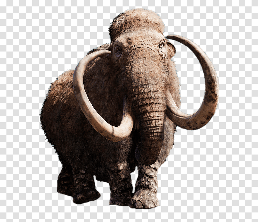 Mammoth With Giant Tusks Mammoth, Elephant, Wildlife, Mammal, Animal Transparent Png