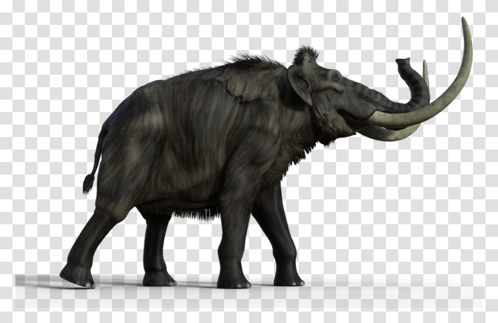 Mammoth Woolly Mammoth Token Dampd, Animal, Mammal, Wildlife, Horse Transparent Png