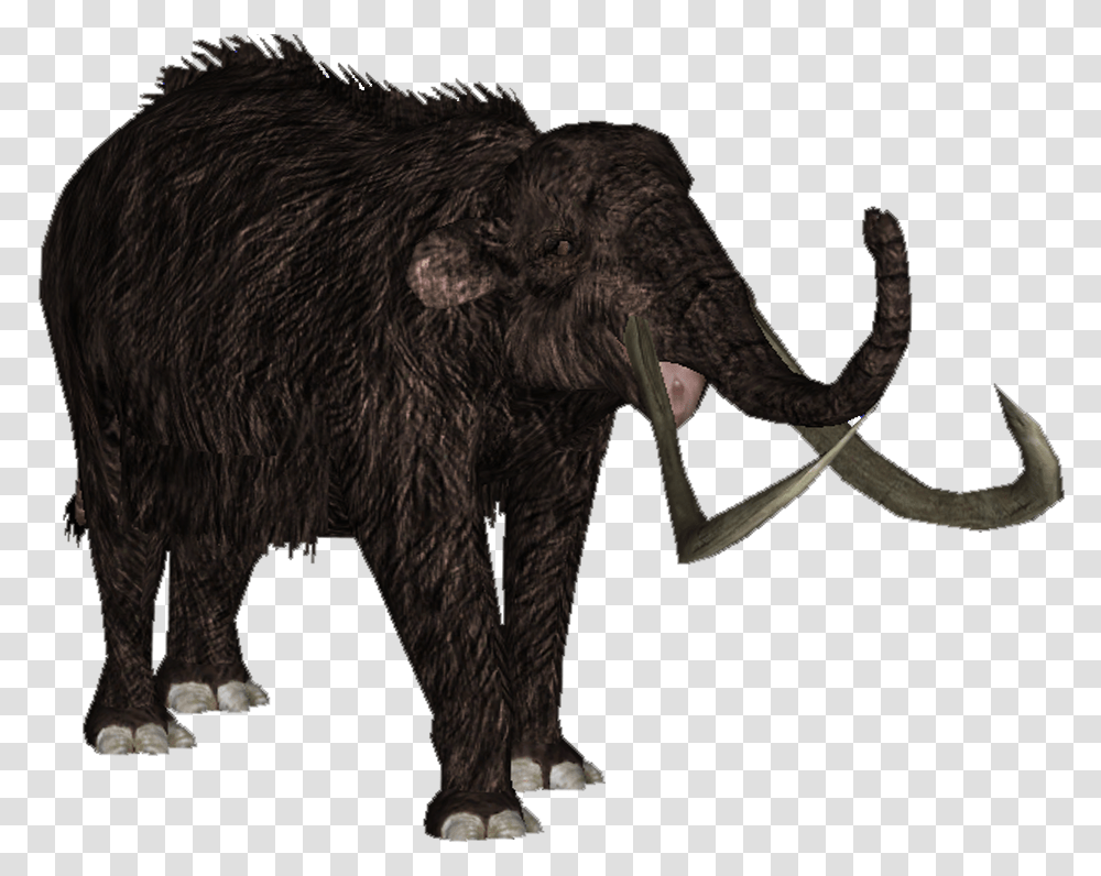 Mammoth Zoo Tycoon Woolly Mammoth, Elephant, Wildlife, Mammal, Animal Transparent Png