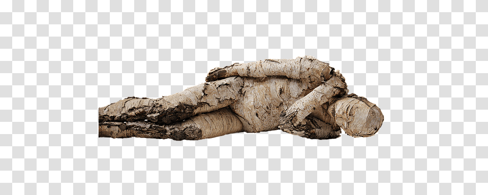 Man Person, Plant, Archaeology, Wood Transparent Png