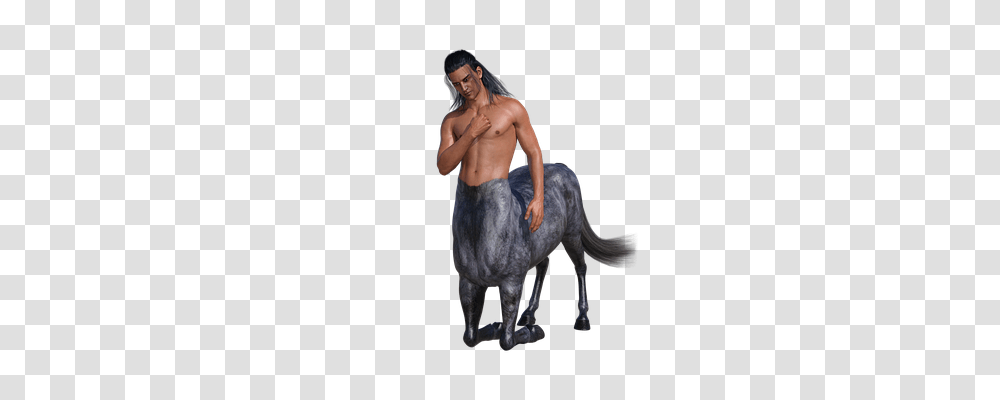 Man Person, Pants, Horse Transparent Png
