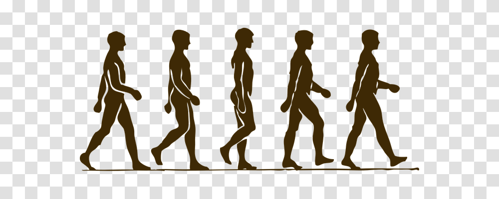 Man Person, Pedestrian, People, Silhouette Transparent Png