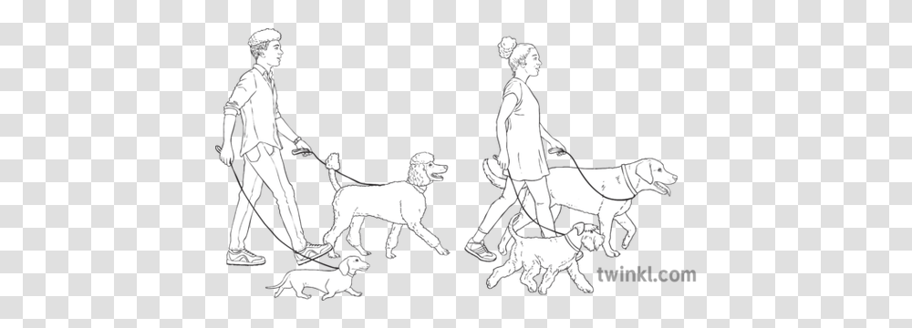 Man And Woman Walking Dogs Animals People Ni Linguistic Dog Leash, Person, Horse, Drawing, Art Transparent Png