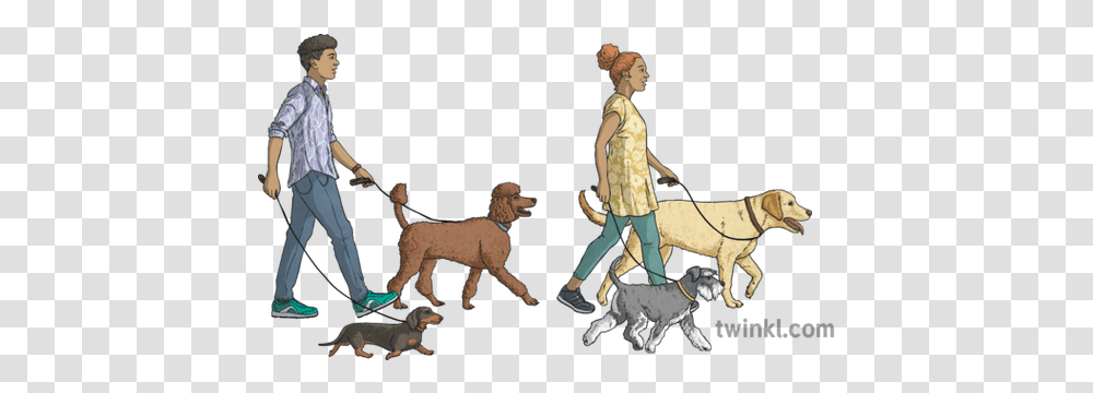 Man And Woman Walking Dogs Animals People Ni Linguistic Leash, Person, Horse, Mammal, Clothing Transparent Png