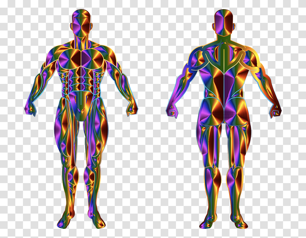 Man Body Human Biology Anatomy Muscles Muscular Illustration, Pattern, Person, Fractal, Ornament Transparent Png