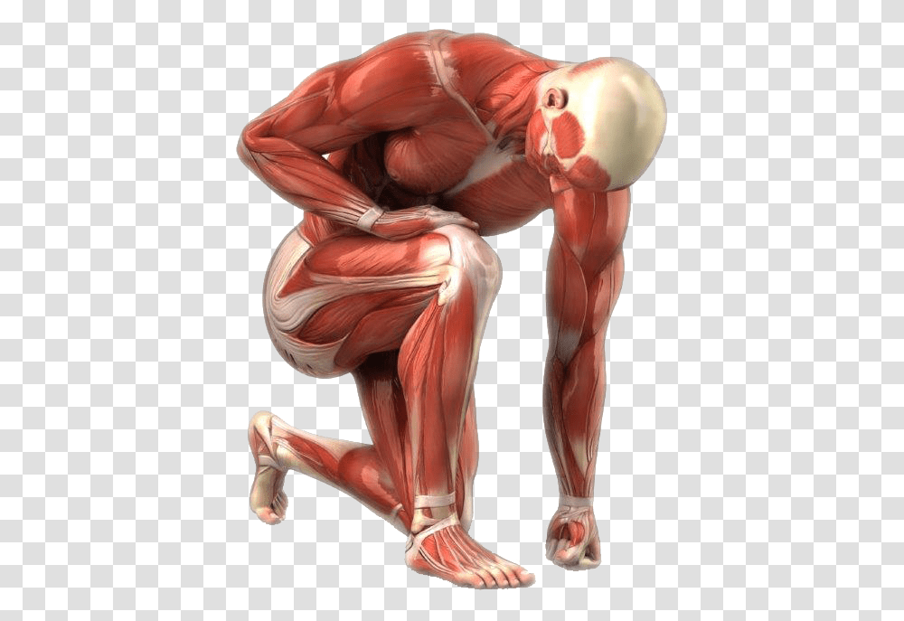 Man Clear Sports Massage, Person, Human, Torso, Hip Transparent Png