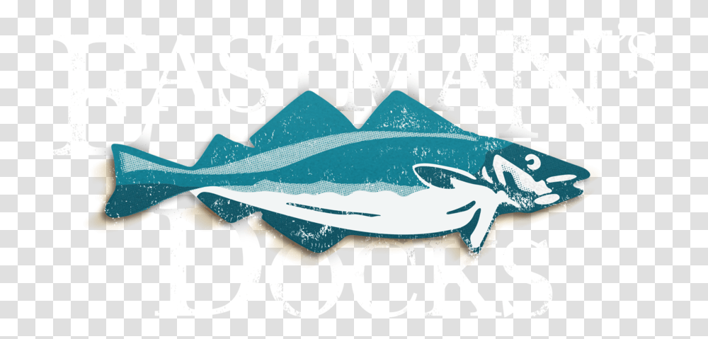 Man Fishing, Animal, Sea Life, Coho Transparent Png