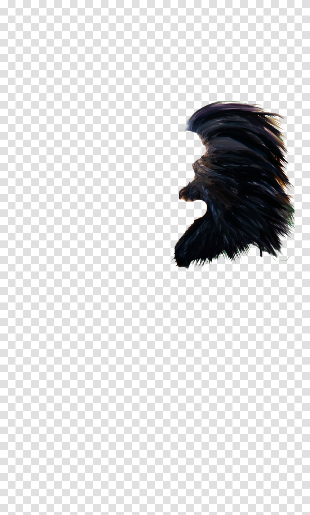 Man Hair Sugrim Editing, Chicken, Bird, Animal, Mammal Transparent Png