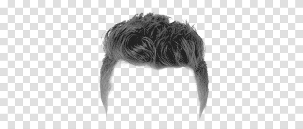 Man Hairstyle Hair For Photoshop, Nature, Animal, Mammal, Bird Transparent Png