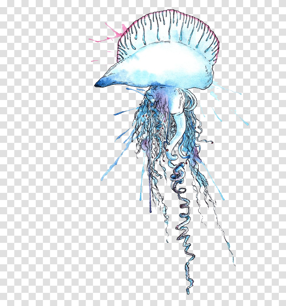 Man O War Jellyfish, Invertebrate, Sea Life, Animal Transparent Png