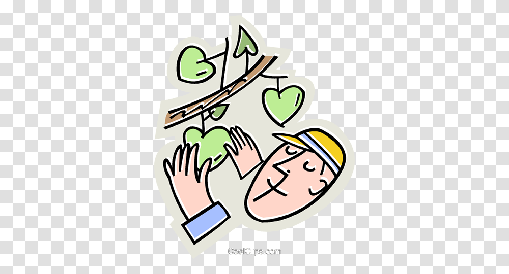 Man Picking Apples Of Off The Tree Royalty Free Vector Clip Art, Poster, Advertisement, Outdoors Transparent Png