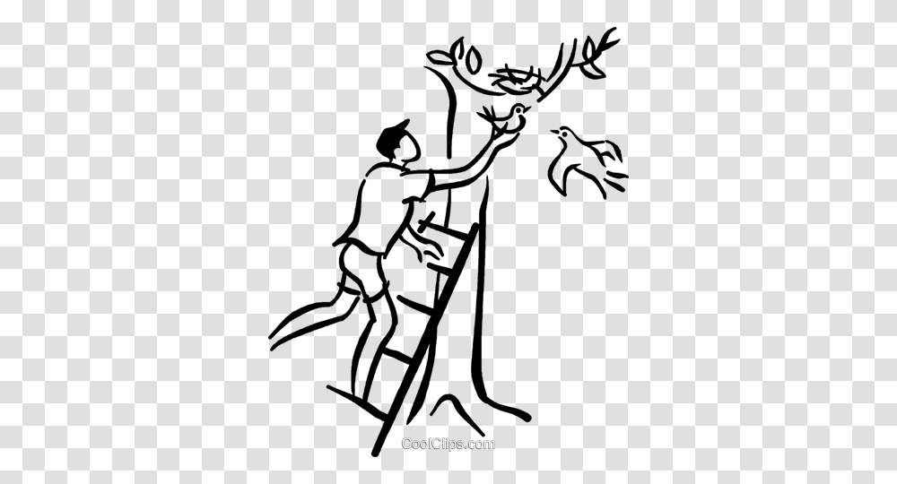 Man Placing Baby Bird Back In The Nest Royalty Free Vector Clip, Animal, Stencil, Silhouette, Hook Transparent Png