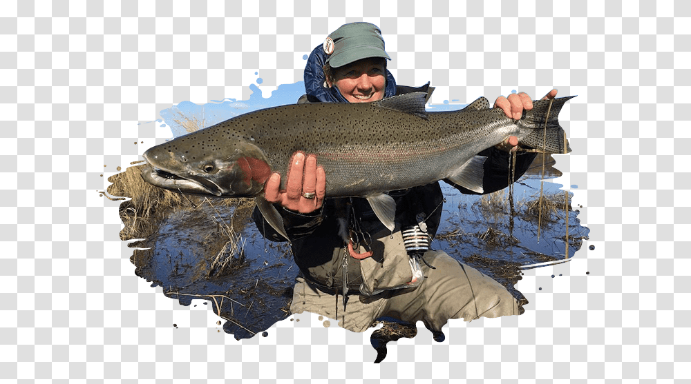 Man Proudly Holding A Fish At Bear Trail Lodge In Alaska Hucho Taimen, Coho, Animal, Person, Human Transparent Png