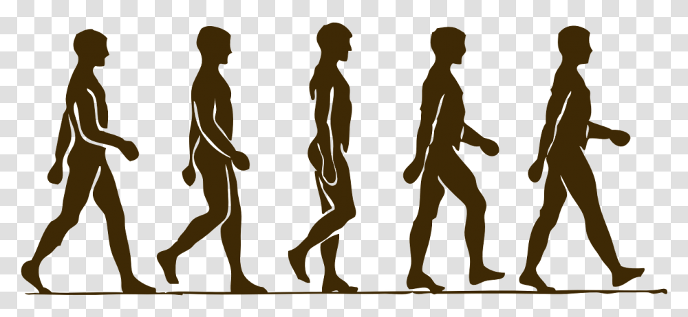 Man Walking Step By Step, Person, Standing, Silhouette, Pedestrian Transparent Png