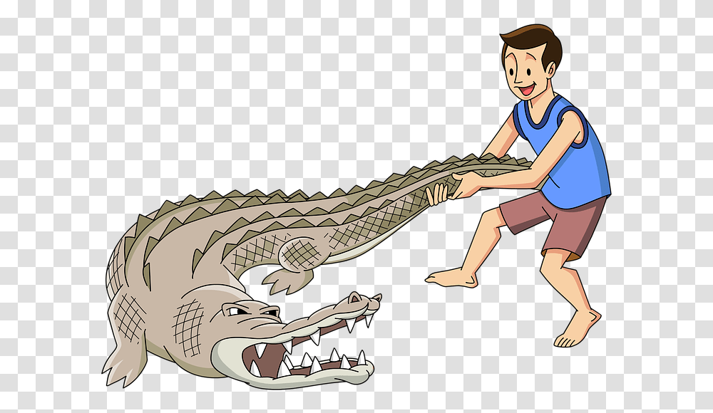 Man Wrestle Crocodile Alligator Strong Male Young Alligator Wrestling, Animal, Person, Human, Dinosaur Transparent Png