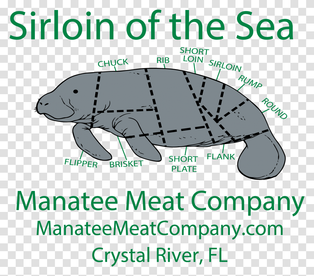 Manatee Meat Company Sirloin Of The Sea Manatee, Animal, Mammal, Advertisement, Paper Transparent Png
