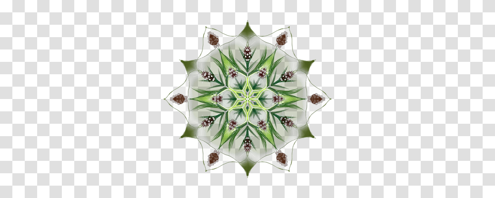 Mandala Nature, Plant, Cactus, Pattern Transparent Png