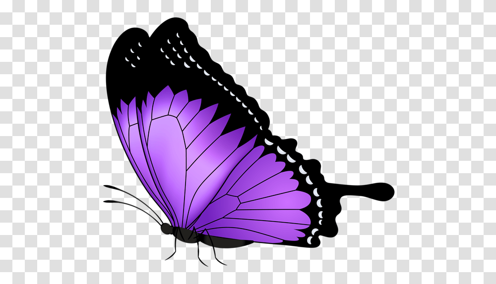 Mandala Butterfly Butterfly Clip Art Purple, Lamp, Teeth, Mouth, Animal Transparent Png