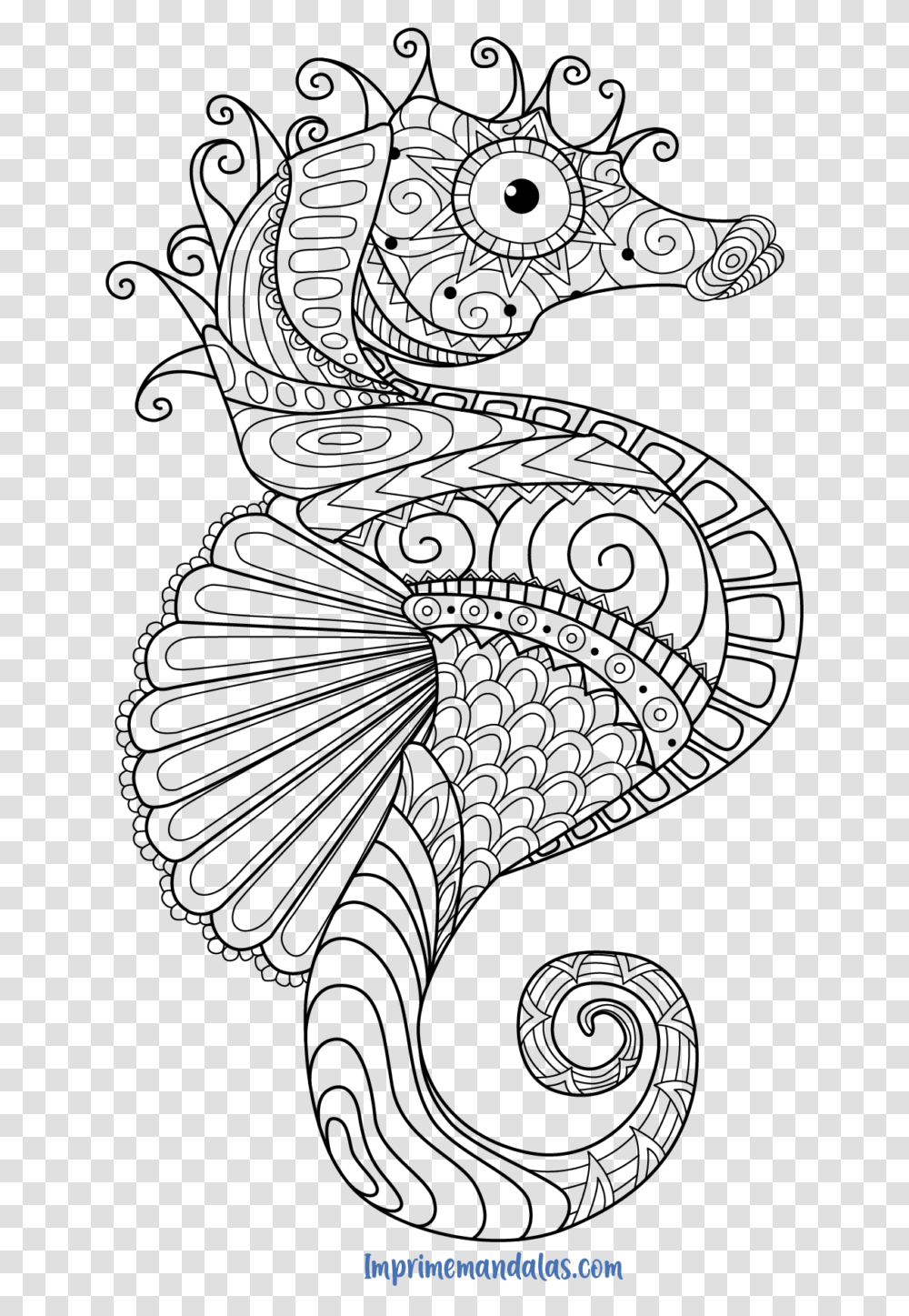 Mandala Caballito De Mar Para Colorear Seahorse Coloring Pages For Adults, Nature, Outdoors, Astronomy, Outer Space Transparent Png