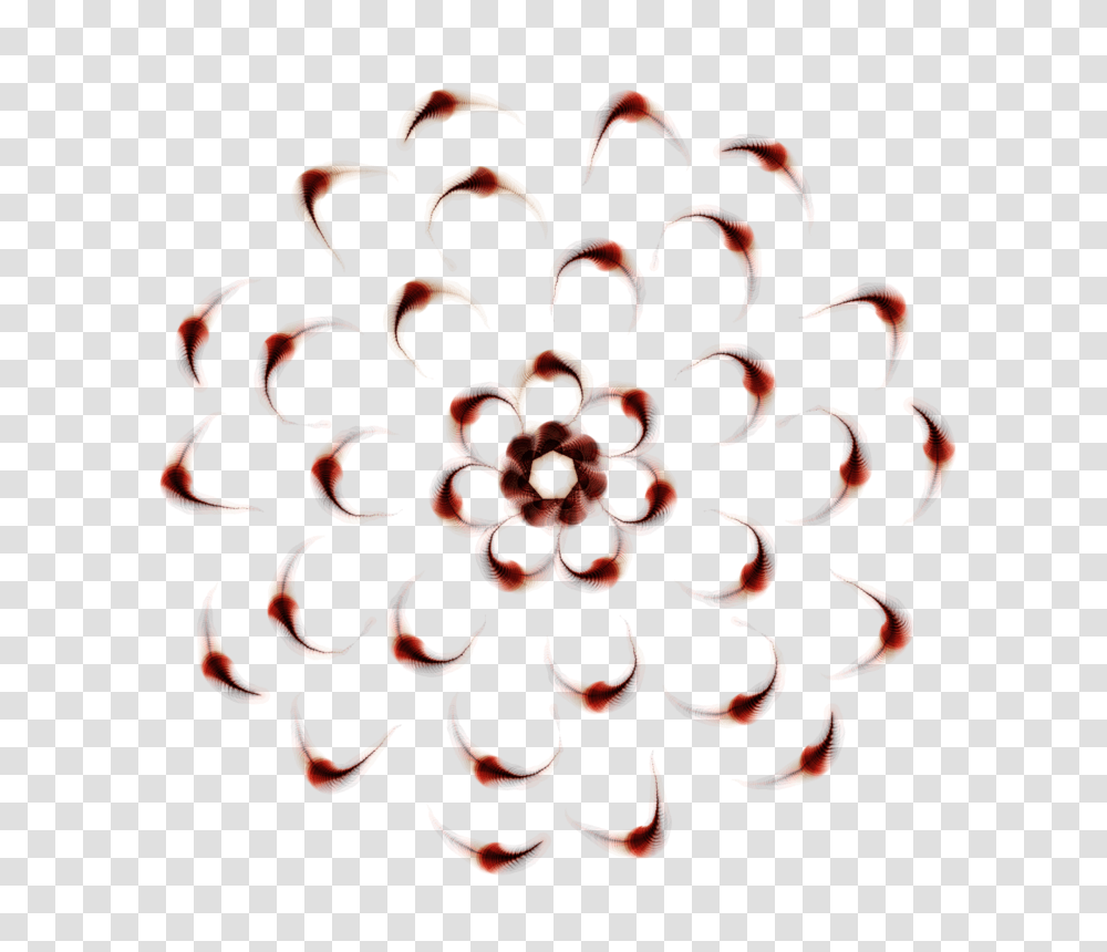 Mandala Flower, Pattern, Ornament, Fractal Transparent Png