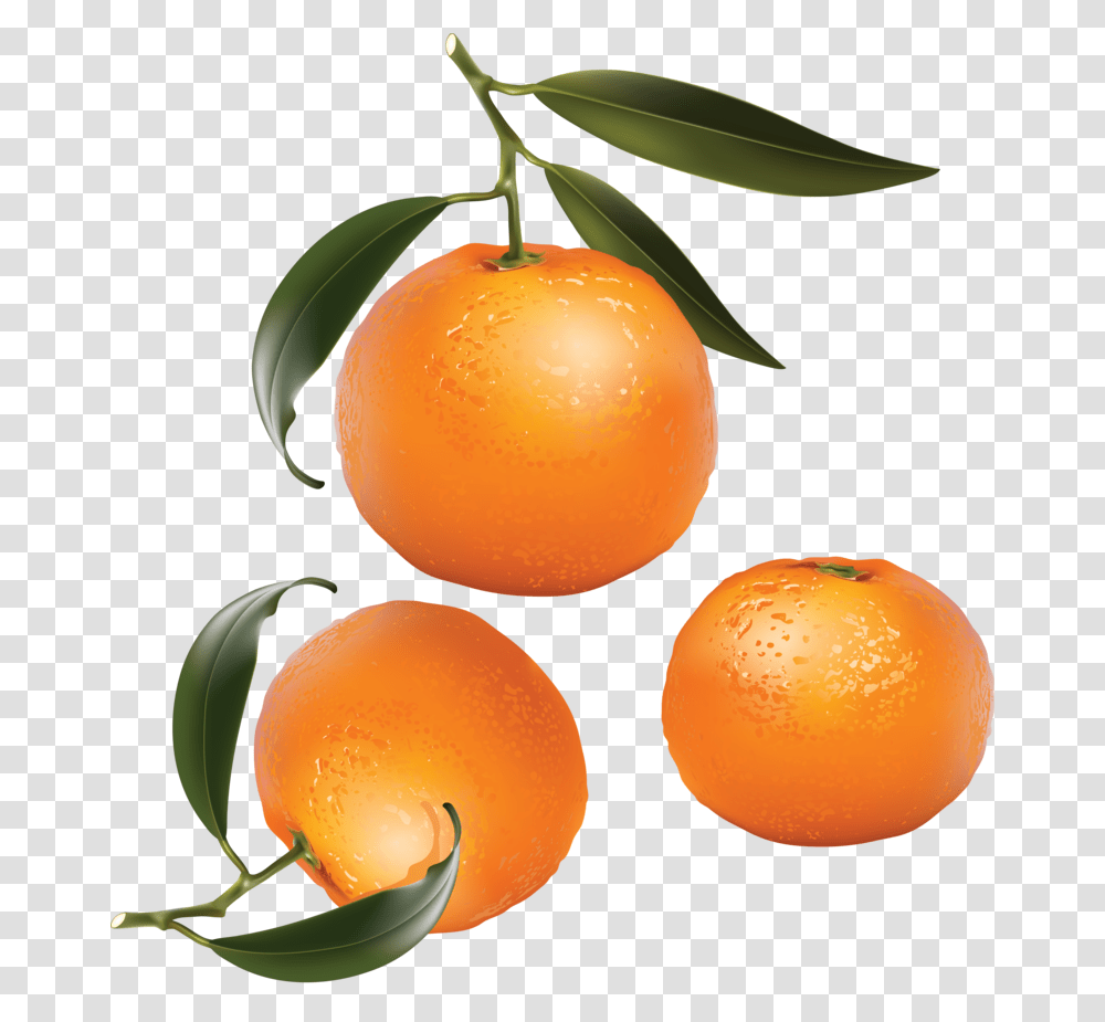 Mandarin Download Image With Background Orange Fruits Clip Art, Plant, Food, Citrus Fruit, Produce Transparent Png