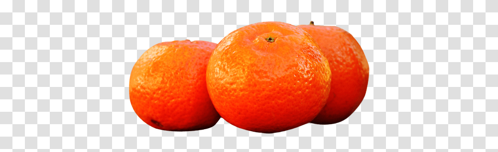Mandarin, Fruit, Citrus Fruit, Plant, Food Transparent Png