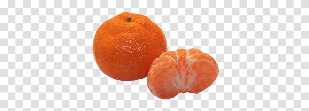 Mandarin, Fruit, Citrus Fruit, Plant, Food Transparent Png