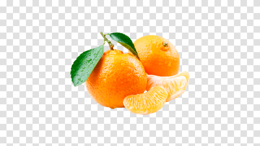 Mandarin, Fruit, Orange, Citrus Fruit, Plant Transparent Png