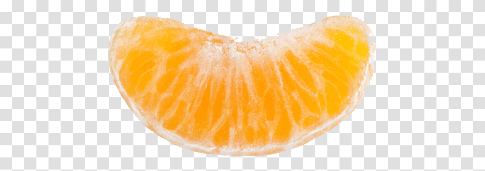 Mandarin, Fruit, Plant, Citrus Fruit, Food Transparent Png