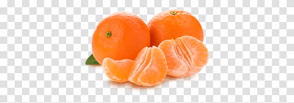 Mandarin, Fruit, Plant, Citrus Fruit, Food Transparent Png