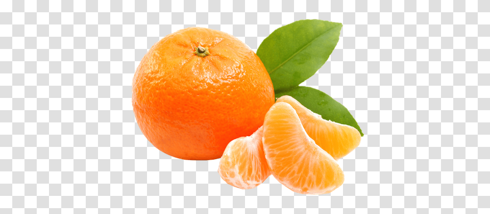 Mandarin, Fruit, Plant, Citrus Fruit, Food Transparent Png