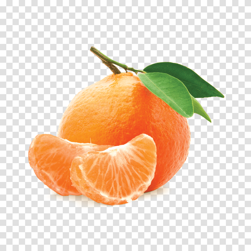 Mandarin, Fruit, Plant, Citrus Fruit, Food Transparent Png