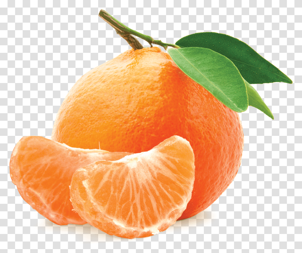 Mandarin Mandarin Zest Fumari, Citrus Fruit, Plant, Food, Orange Transparent Png