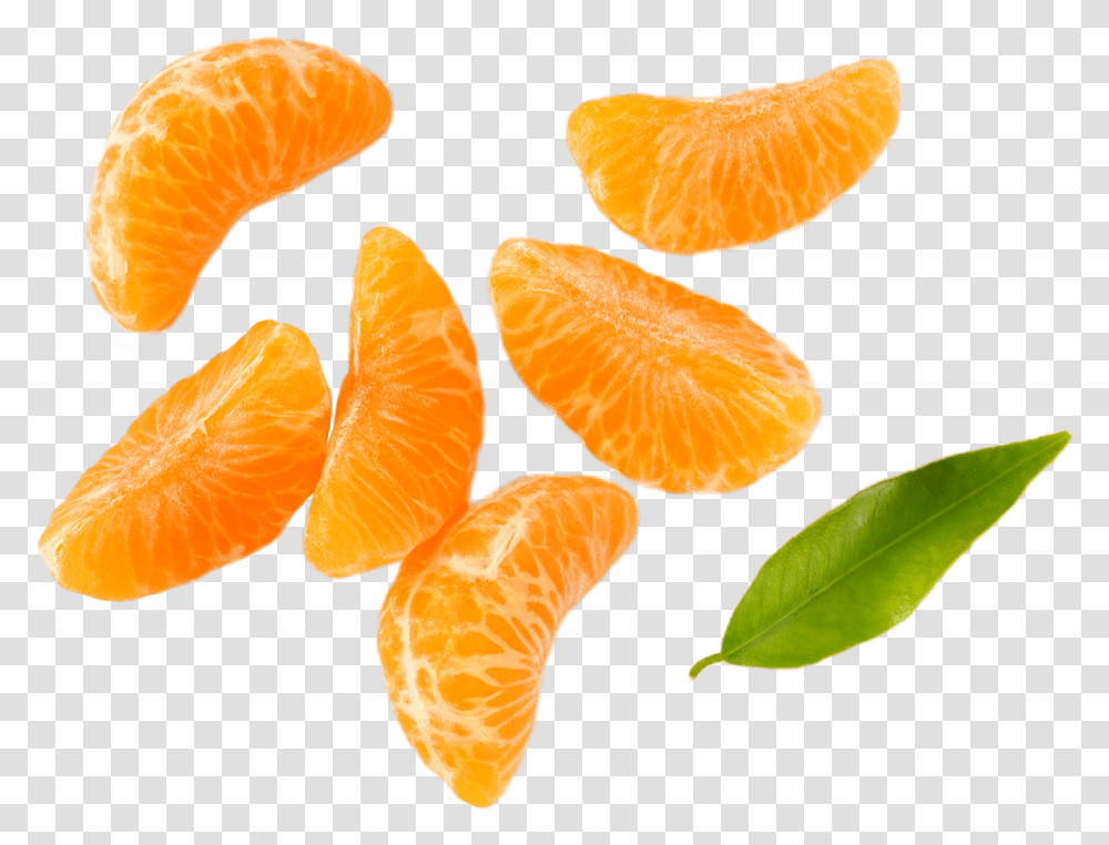 Mandarin Orange, Citrus Fruit, Plant, Food, Fungus Transparent Png
