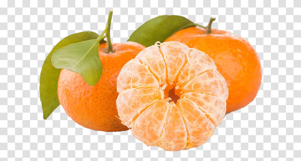 Mandarin Orange, Citrus Fruit, Plant, Food, Grapefruit Transparent Png