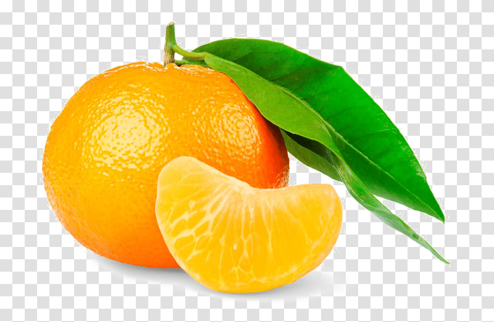 Mandarin Orange High Orange High Quality, Plant, Citrus Fruit, Food Transparent Png