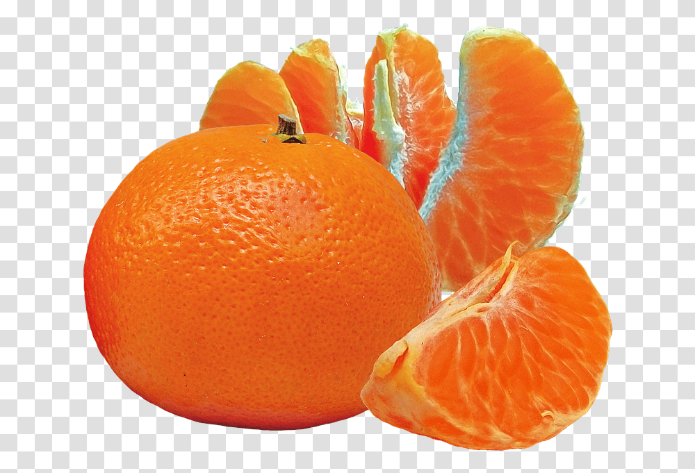 Mandarin Orange Mandarin Orange Clipart, Citrus Fruit, Plant, Food, Grapefruit Transparent Png