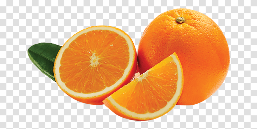 Mandarin Orange Pic Mandarin Orange, Citrus Fruit, Plant, Food, Grapefruit Transparent Png