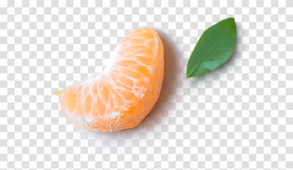 Mandarin Orange, Plant, Citrus Fruit, Food, Peel Transparent Png