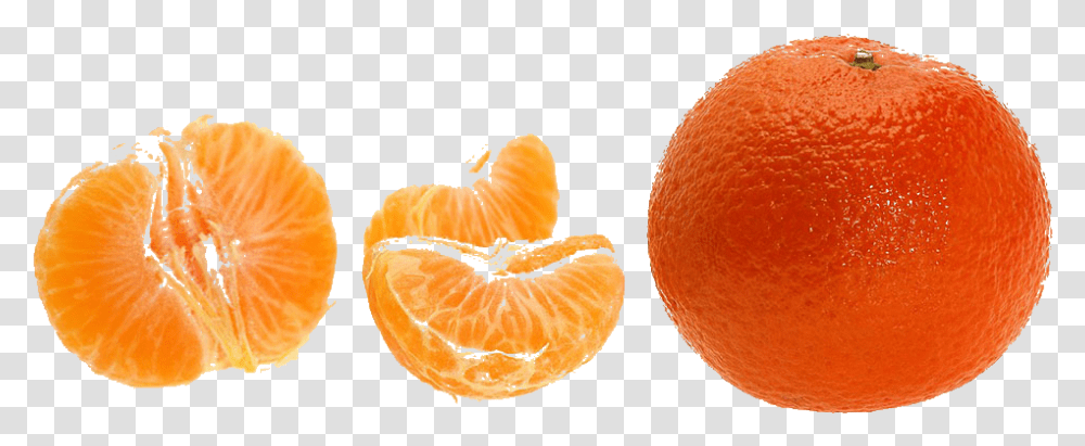 Mandarin Orange, Plant, Citrus Fruit, Food, Produce Transparent Png