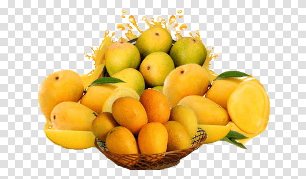 Mandarin Orange, Plant, Fruit, Food, Produce Transparent Png